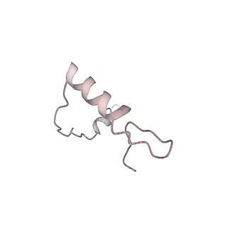 13750_7q0r_f_v1-1
Structure of the Candida albicans 80S ribosome in complex with blasticidin s