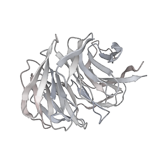 13750_7q0r_h_v1-1
Structure of the Candida albicans 80S ribosome in complex with blasticidin s