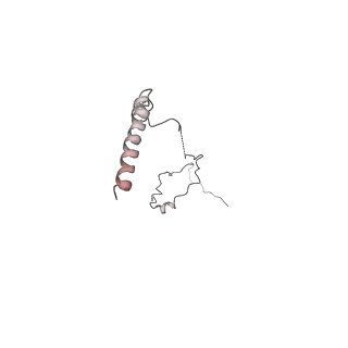 13750_7q0r_i_v1-1
Structure of the Candida albicans 80S ribosome in complex with blasticidin s