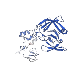 13750_7q0r_j_v1-1
Structure of the Candida albicans 80S ribosome in complex with blasticidin s