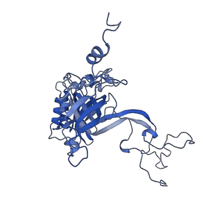 13750_7q0r_k_v1-1
Structure of the Candida albicans 80S ribosome in complex with blasticidin s
