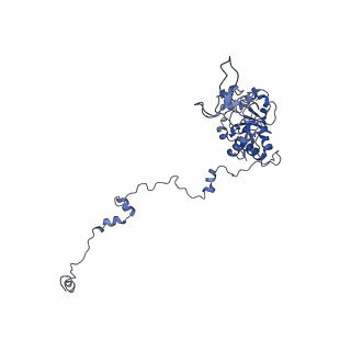 13750_7q0r_l_v1-1
Structure of the Candida albicans 80S ribosome in complex with blasticidin s