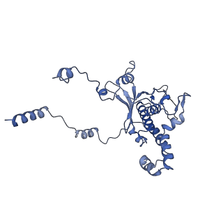 13750_7q0r_m_v1-1
Structure of the Candida albicans 80S ribosome in complex with blasticidin s