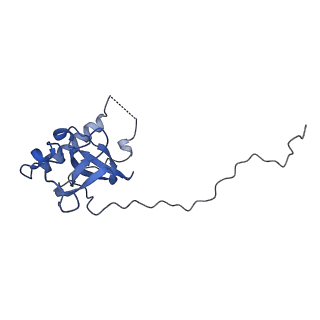13750_7q0r_n_v1-1
Structure of the Candida albicans 80S ribosome in complex with blasticidin s