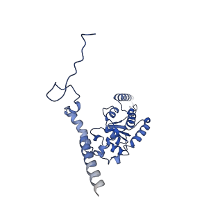 13750_7q0r_p_v1-1
Structure of the Candida albicans 80S ribosome in complex with blasticidin s