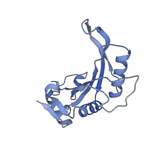 13750_7q0r_s_v1-1
Structure of the Candida albicans 80S ribosome in complex with blasticidin s