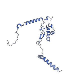 13750_7q0r_t_v1-1
Structure of the Candida albicans 80S ribosome in complex with blasticidin s