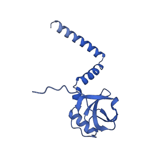 13750_7q0r_u_v1-1
Structure of the Candida albicans 80S ribosome in complex with blasticidin s