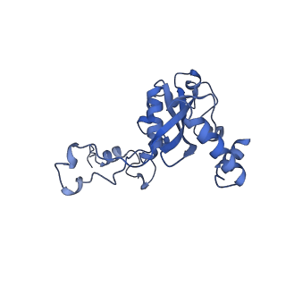 13750_7q0r_v_v1-1
Structure of the Candida albicans 80S ribosome in complex with blasticidin s
