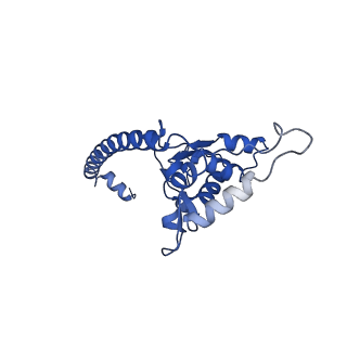 13750_7q0r_w_v1-1
Structure of the Candida albicans 80S ribosome in complex with blasticidin s