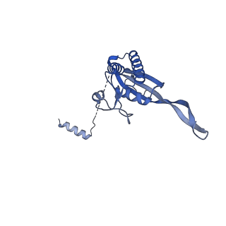 13750_7q0r_x_v1-1
Structure of the Candida albicans 80S ribosome in complex with blasticidin s