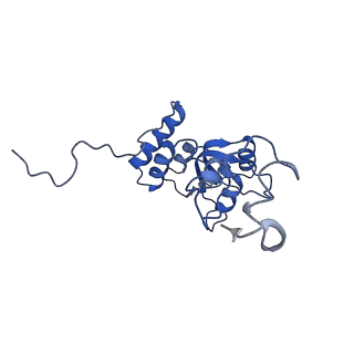 13750_7q0r_y_v1-1
Structure of the Candida albicans 80S ribosome in complex with blasticidin s