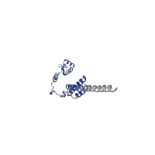 13750_7q0r_z_v1-1
Structure of the Candida albicans 80S ribosome in complex with blasticidin s