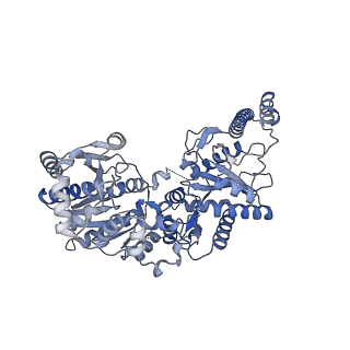 13751_7q0s_B_v1-0
Human GYS1-GYG1 complex inhibited-like state bound to glucose-6-phosphate
