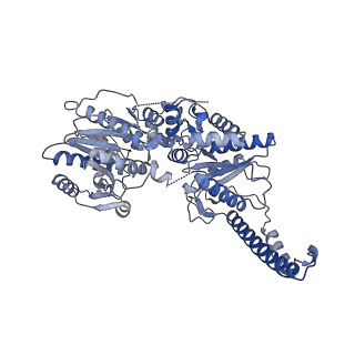 13751_7q0s_C_v1-0
Human GYS1-GYG1 complex inhibited-like state bound to glucose-6-phosphate