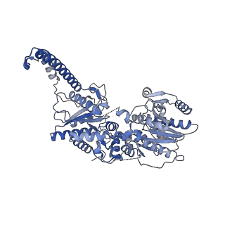 13751_7q0s_D_v1-0
Human GYS1-GYG1 complex inhibited-like state bound to glucose-6-phosphate
