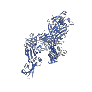 20543_6q05_C_v1-2
MERS-CoV S structure in complex with sialyl-lewisX