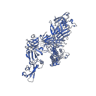 20544_6q06_C_v1-2
MERS-CoV S structure in complex with 2,3-sialyl-N-acetyl-lactosamine