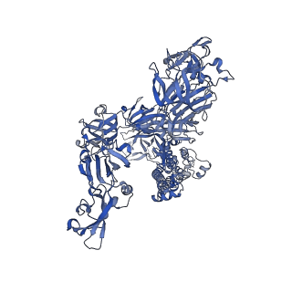 20544_6q06_C_v2-0
MERS-CoV S structure in complex with 2,3-sialyl-N-acetyl-lactosamine