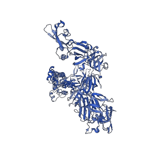 20545_6q07_B_v1-2
MERS-CoV S structure in complex with 2,6-sialyl-N-acetyl-lactosamine