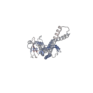 20555_6q0x_A_v1-1
The cryo-EM structure of the SNX-BAR Mvp1 tetramer