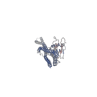 20555_6q0x_B_v1-0
The cryo-EM structure of the SNX-BAR Mvp1 tetramer
