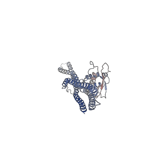 20555_6q0x_B_v1-1
The cryo-EM structure of the SNX-BAR Mvp1 tetramer