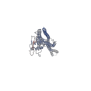 20555_6q0x_C_v1-0
The cryo-EM structure of the SNX-BAR Mvp1 tetramer
