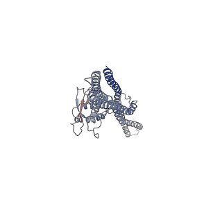 20555_6q0x_C_v1-1
The cryo-EM structure of the SNX-BAR Mvp1 tetramer