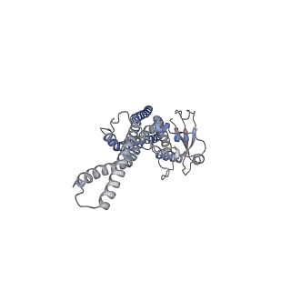 20555_6q0x_D_v1-0
The cryo-EM structure of the SNX-BAR Mvp1 tetramer
