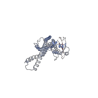 20555_6q0x_D_v1-1
The cryo-EM structure of the SNX-BAR Mvp1 tetramer