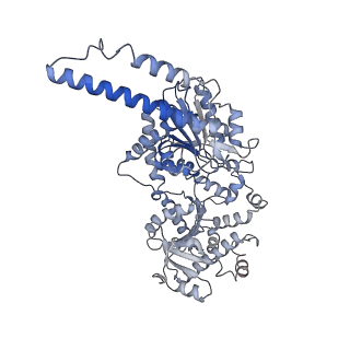 13752_7q12_A_v1-0
Human GYS1-GYG1 complex activated state bound to glucose-6-phosphate