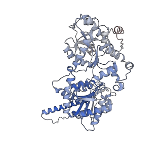 13752_7q12_B_v1-0
Human GYS1-GYG1 complex activated state bound to glucose-6-phosphate