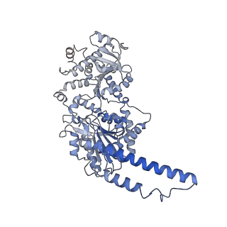 13752_7q12_C_v1-0
Human GYS1-GYG1 complex activated state bound to glucose-6-phosphate