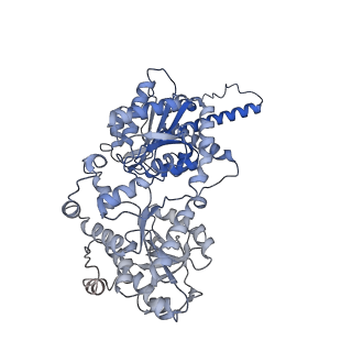 13752_7q12_D_v1-0
Human GYS1-GYG1 complex activated state bound to glucose-6-phosphate