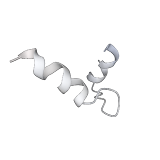 13752_7q12_F_v1-0
Human GYS1-GYG1 complex activated state bound to glucose-6-phosphate