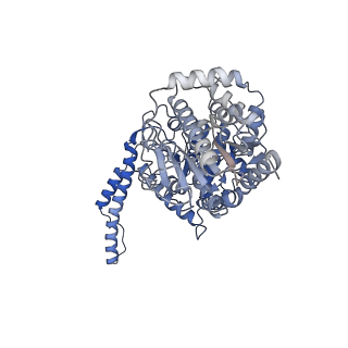 13753_7q13_B_v1-0
Human GYS1-GYG1 complex activated state bound to glucose-6-phosphate, uridine diphosphate, and glucose