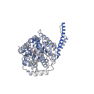 13753_7q13_C_v1-0
Human GYS1-GYG1 complex activated state bound to glucose-6-phosphate, uridine diphosphate, and glucose
