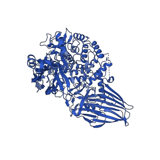 13764_7q1u_B_v1-0
Structure of Hedgehog acyltransferase (HHAT) in complex with megabody 177 bound to non-hydrolysable palmitoyl-CoA (Composite Map)