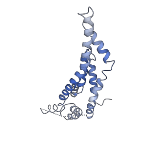 20310_6q14_0_v1-2
Structure of the Salmonella SPI-1 injectisome NC-base