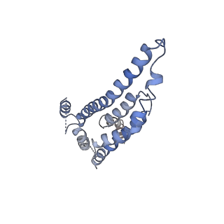 20310_6q14_1_v1-2
Structure of the Salmonella SPI-1 injectisome NC-base