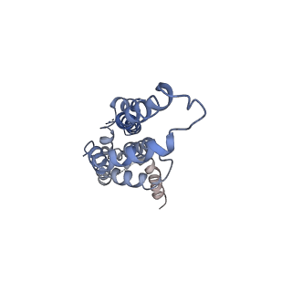 20310_6q14_2_v1-2
Structure of the Salmonella SPI-1 injectisome NC-base