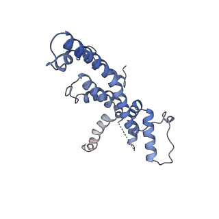 20310_6q14_4_v1-2
Structure of the Salmonella SPI-1 injectisome NC-base
