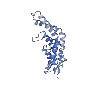 20310_6q14_5_v1-2
Structure of the Salmonella SPI-1 injectisome NC-base