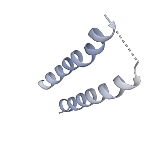 20310_6q14_6_v1-2
Structure of the Salmonella SPI-1 injectisome NC-base
