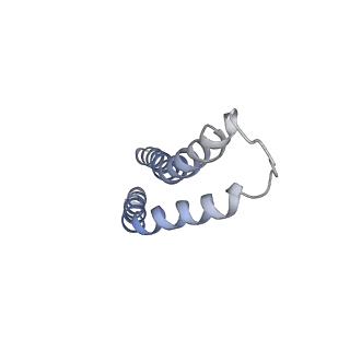 20310_6q14_7_v1-2
Structure of the Salmonella SPI-1 injectisome NC-base