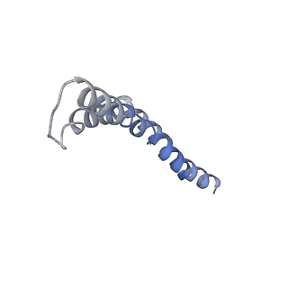 20310_6q14_9_v1-2
Structure of the Salmonella SPI-1 injectisome NC-base