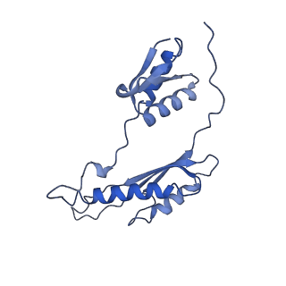 20310_6q14_AB_v1-2
Structure of the Salmonella SPI-1 injectisome NC-base