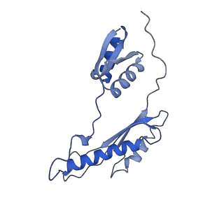 20310_6q14_AC_v1-2
Structure of the Salmonella SPI-1 injectisome NC-base