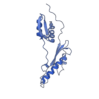 20310_6q14_AD_v1-2
Structure of the Salmonella SPI-1 injectisome NC-base